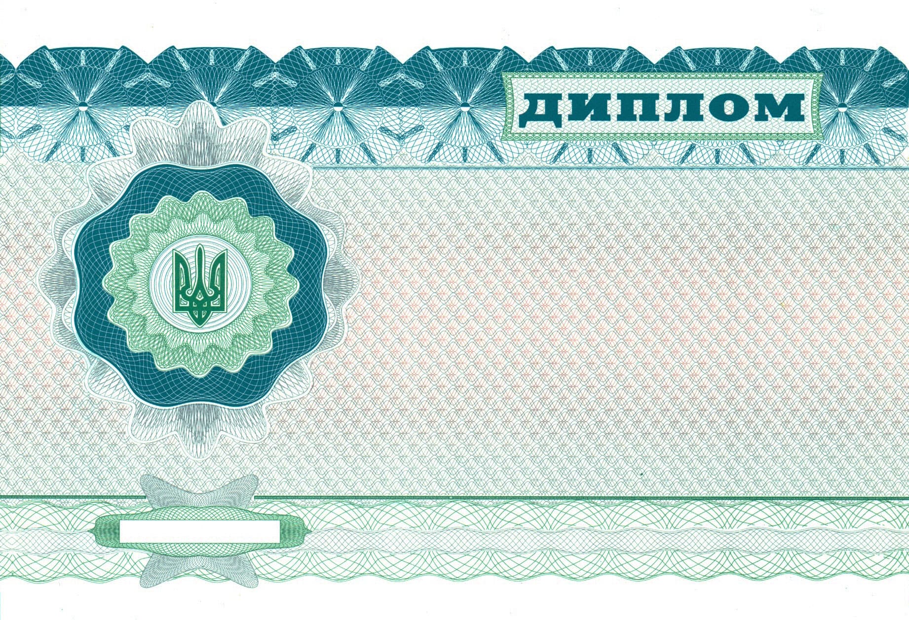 Диплом магістра 2000–2010 років зворотна сторона